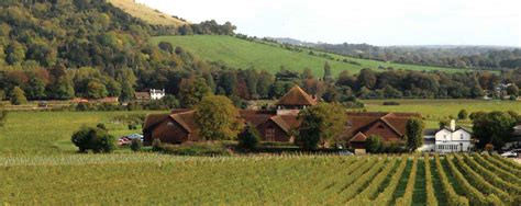 Visit Us Denbies Wine Estate