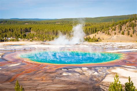 Visit Yellowstone with a Private Guide - Come Home …