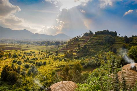 Visit rwanda. Rwanda’s home to thrills that’ll sate any seeker, including a Canopy Walkway that sways in the slightest breeze. There are at least as many reasons to visit Rwanda, as there are people who ... 