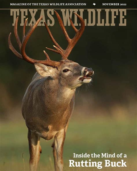 Visit with Exhibitors at the... - Texas Deer Association Facebook