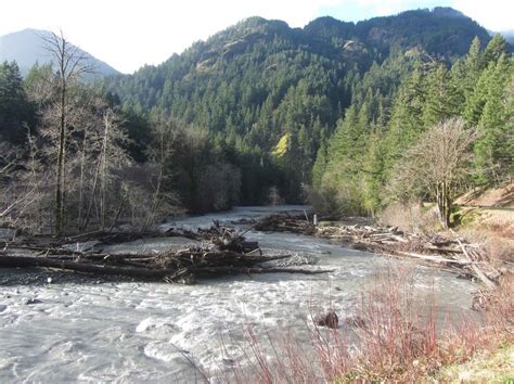 Visiting the Elwha Valley - Olympic National Park (U.S.