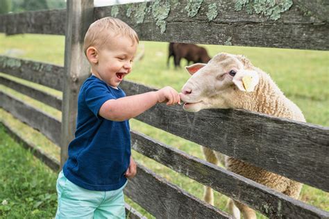 Visiting the Farm