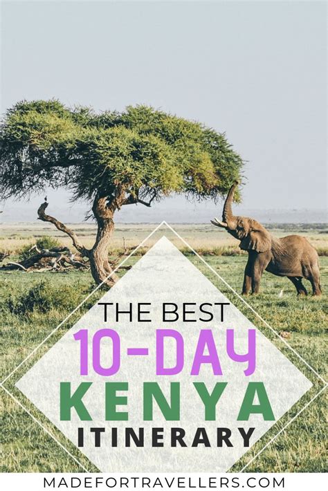 Visitors guide to kenya and east africa how to get there what to see where to stay. - Honda fourtrax trx 300 fw repair manual.