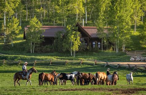 Vista verde ranch. See photos and read reviews for the Vista Verde Guest Ranch rooms in Clark, CO. Everything you need to know about the Vista Verde Guest Ranch rooms at Tripadvisor. 