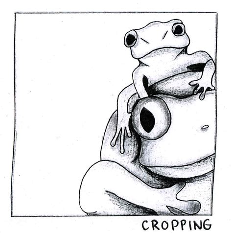 Visual Communication Resource Design Principle Cropping