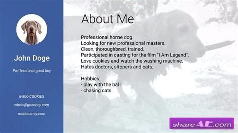 Visual Resume After Effects Templates Motion Array
