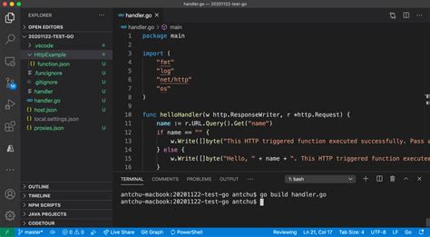 Visual Studio Code kullanarak Go veya Rust'ta işlev oluşturma.
