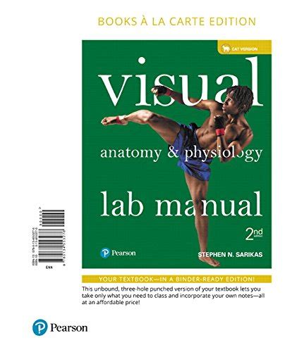 Visual anatomy physiology lab manual cat version books a la carte edition 2nd edition. - Ethics across the professions study guide.