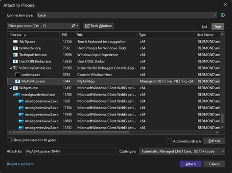 Visual studio attach to process instead of run. NET isolated worker model to run yo...