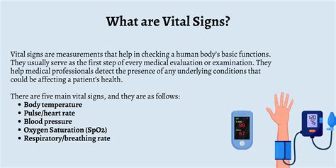 Vital Signs Seattle Met