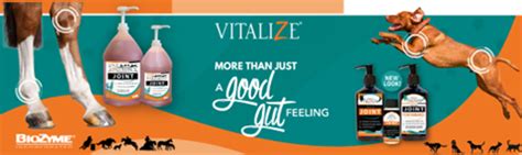 Vitalize® Welcomes New Products to its Lineup – BioZyme Inc