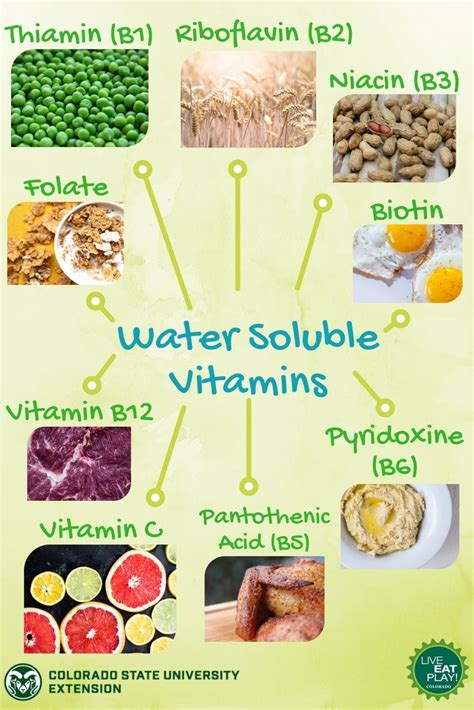 Vitamins and supplements wholesale distributors.  Water-soluble vitamins dissolve easily...