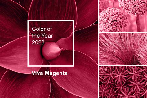 Viva_Magenta Onlyfans Leaked +18 197 Photos