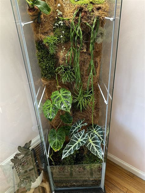 Vivarium How To Build