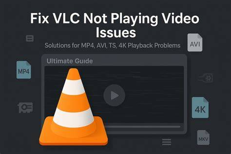 Vlc crashes when converting.  Summary: Sometimes, while playing large MP4 files with 4K ...