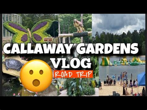 Vlog: Things to do in Callaway Gardens Pine Mountain, GA