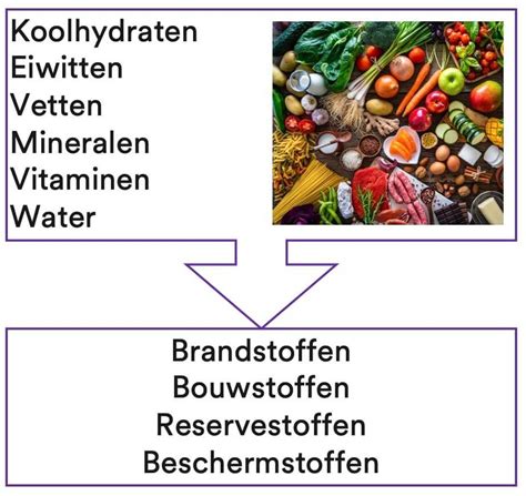 Voedingsstoffen Voor Hellman