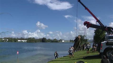 Volunteer divers find 32 submerged cars in Doral lake, possibly linked to missing persons cold cases
