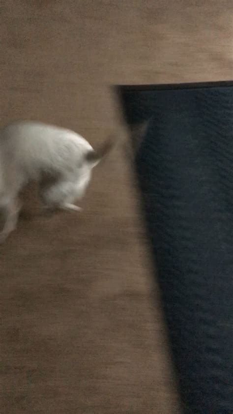 Vomspitt Of Onlyfans Leak 🍆 [SEX VIDEO]