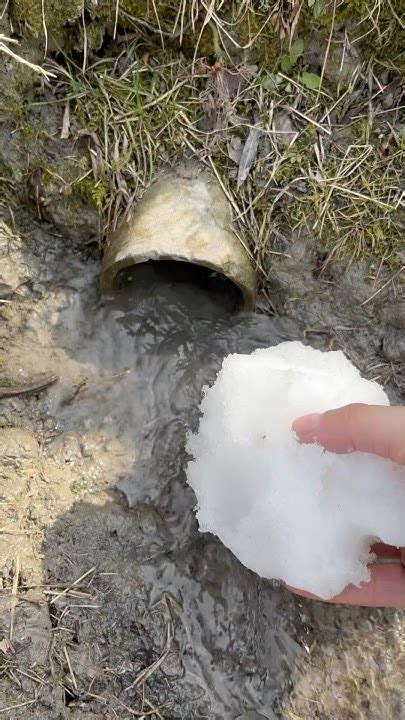 Vortexasmr Onlyfans Leak