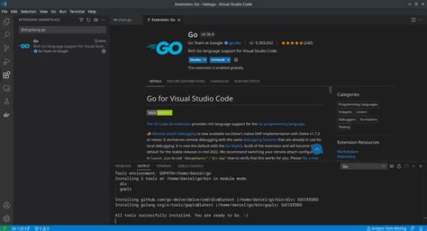 Vs code golang. .  ...