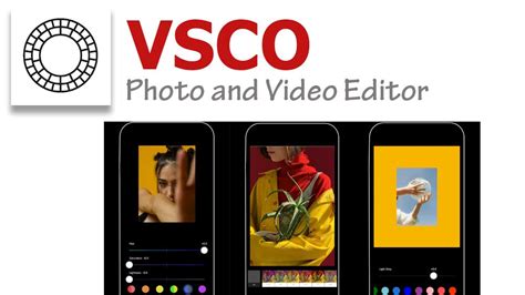 Vsco pic downloader. Things To Know About Vsco pic downloader. 