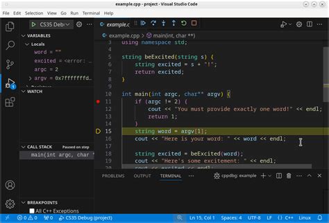 Vscode gdb environment variables.  I'm trying to determine what the . , which interpreter to us...