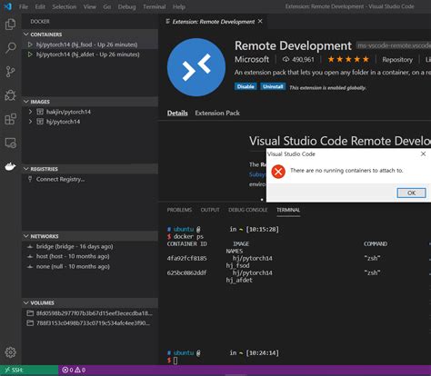 Vscode remote debug.  Advanced: Use a remote Docker host - Once you know...