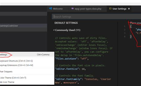 Vscode runtimeexecutable.  The configuration applies to the current work...