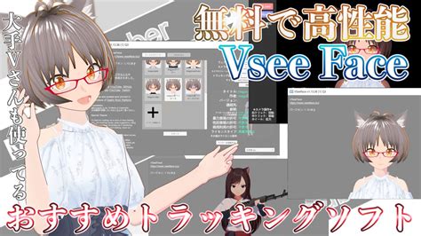 Vsee face. This is an overview of the steps required to take a rigged model from Blender and export it for use as a VTuber model with VSeeFace, with lip sync, facial ex... 