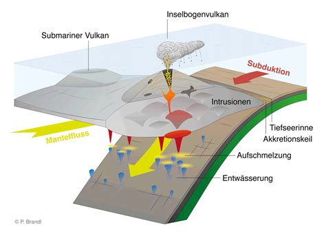 Vulkanismus, magmatismus und metamorphose im gebiet des nordostgrönländischen devons. - Microbiology study guide for midterm exams.