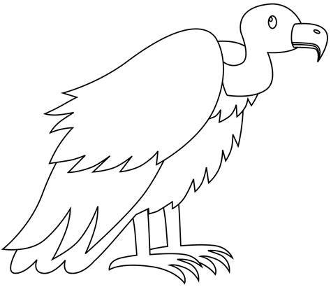 Vulture Coloring
