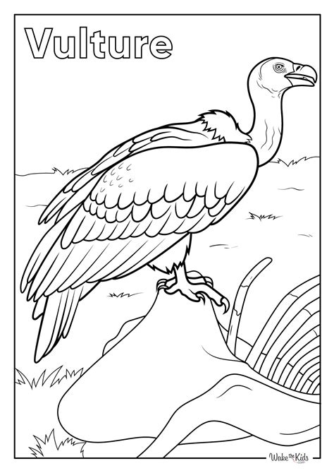 Tap Dance Coloring Pages