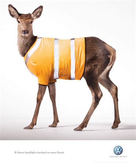 Vw deer. General Volkswagen Discussion. run in with a deer. Jump to Latest Follow 2K views 6 ... 