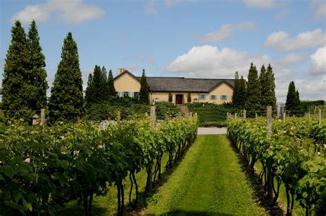 Wölffer estate vineyard. Wölffer Estate Vineyard is one of the iconic destinations on the East End of Long Island. Employing over 200 people, Wölffer offers a one-of-a-kind… Liked by amael Feuillard 