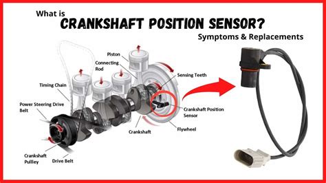 W164 crankshaft position sensor.  Many rough starting or running problems can...