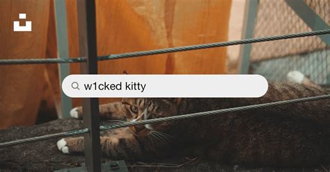 W1Cked_Kitty Onlyfans Leak PORN 112 Pics
