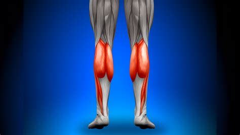 WADE Definition & Meaning