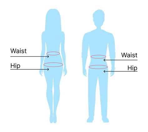 waist hip ratio calculator , WHR Calculator, Calculate Waist to Hip ... - balustradellc