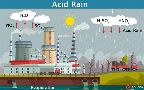 Wait for end . . . . . In 2026, acid rain remains a significant ... - muktibox.com