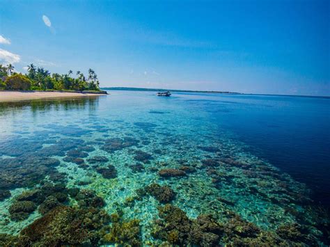 Wakatobi | Silk Roads Programme - UNESCO - wintechmobiles.com