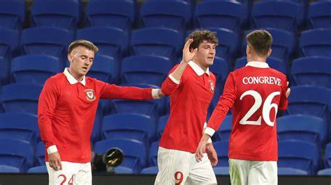 Wales 1 - 1 Bos&Herz - Match Report & Highlights - Sky Sports - raincitystudios.com