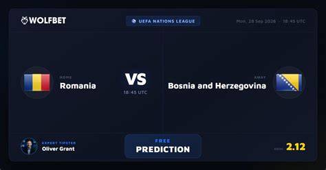 Wales vs Bosnia and Herzegovina; FIFA World Cup European Qualifying ... - raincitystudios.com