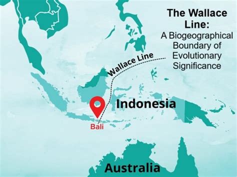 Wallace Line: A Boundary of Life - Cosmo Science - muktibox.com