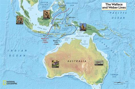 Wallace Line |ForumIAS - muktibox.com