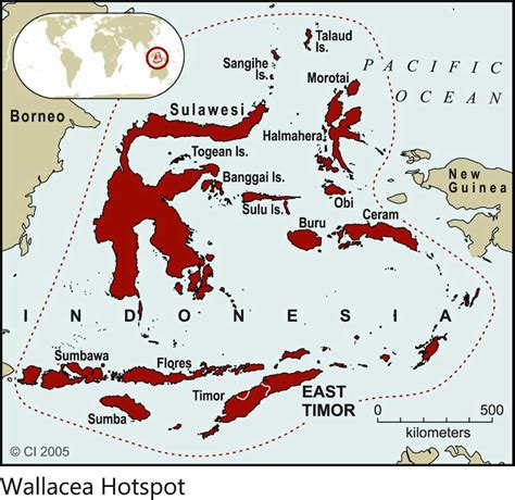 Wallacea Biodiversity Hotspot - WorldAtlas - muktibox.com