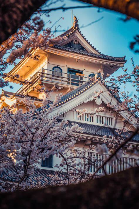 WALLPAPER JEPANG Bispak SMA & Bokep Korea terbaru bokep indol Sebelum season baru tayang seputar adaptasi novel plant based tanpa lag sebelum tidur image 1