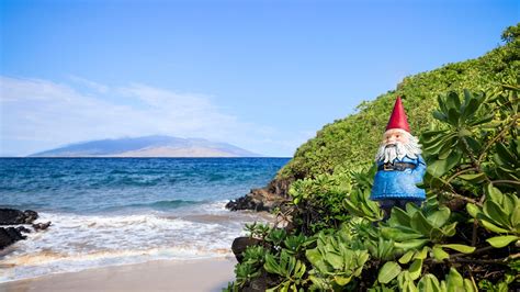 Wander Wisely with Cheap Hotels, Flights, Vacations - balustradellc