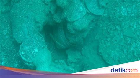 Warisan Keramik di Dasar Laut - detikNews - balustradellc