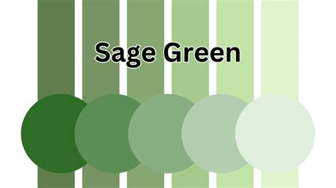 Warna Yang Cocok Dengan Sage - balustradellc